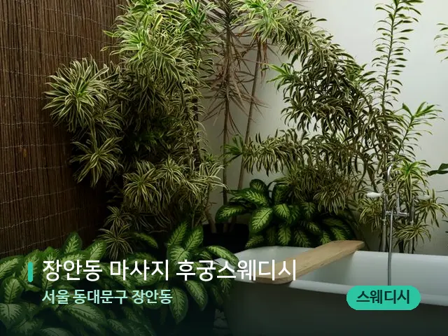 서울 동대문구 장안동 장안동 마사지 후궁스웨디시 — 웰니스 스파 공간